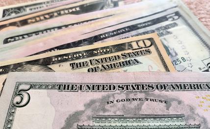 Эксперт Пелешенко сделал прогноз курса доллара до конца недели