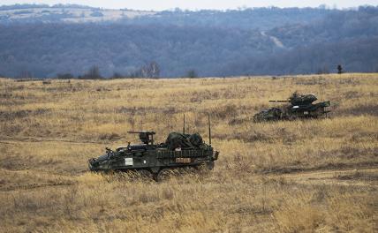 На фото: бронированные машины Stryker.