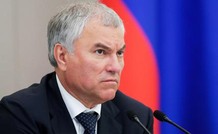 На фото: председатель Госдумы Вячеслав Володин.