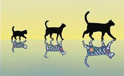 На фото: даже если вы не квантовый физик, вы наверняка слышали о знаменитом коте Шрёдингера. В мысленном эксперименте 1935 года Эрвин Шредингер предположил, что кошки могут быть живыми и мертвыми одновременно. Очевидно, это очень противоречиво.