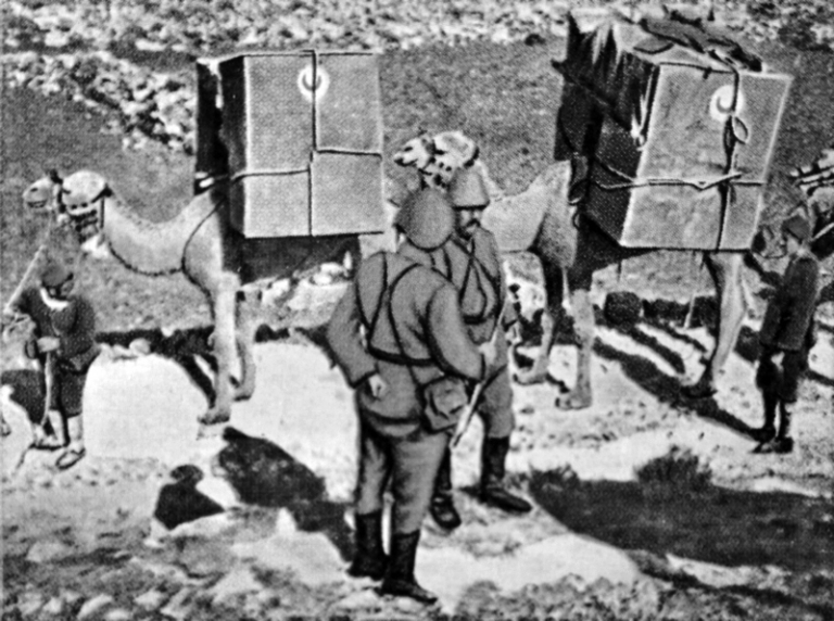 На фото: караван с медицинскими грузами Османского Красного Полумесяца для лечения раненых солдат Османской империи на фронте, 1914-1918-ые гг.