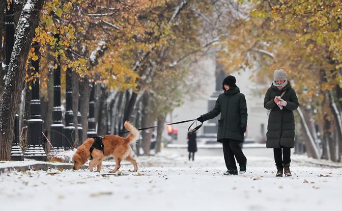 Вильфанд: в выходные москвичей ждет «ноябрьская» погода