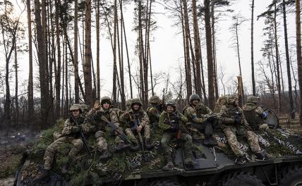 Военкор Стешин: ВСУ получили приказ помочь НАТО захватить Калининград