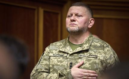 На фото: главнокомандующий Вооружёнными силами Украины Валерий Залужный