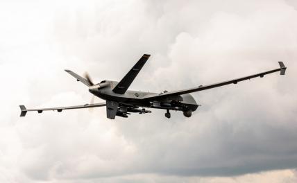 На фото: военный беспилотник MQ-9