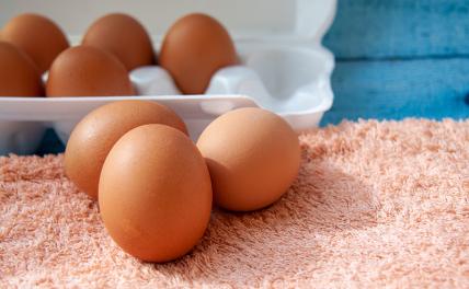 Диетолог Гинзбург развеял устойчивый миф о куриных яйцах