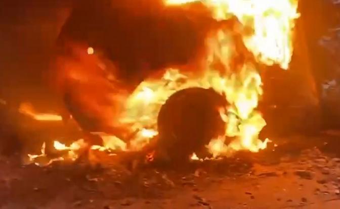 Житель ЛНР из ревности бросил бомбу в машину с женой и ребёнком