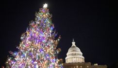 Падение рождественской елки в Вашингтоне сравнили с концом правления Байдена