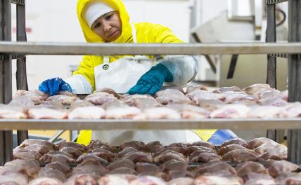 Правительство решило взяться за куриное мясо и яйца