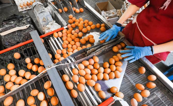 Эксперт оценил, можно ли остановить рост цен на куриное мясо и яйца на «ать-два»