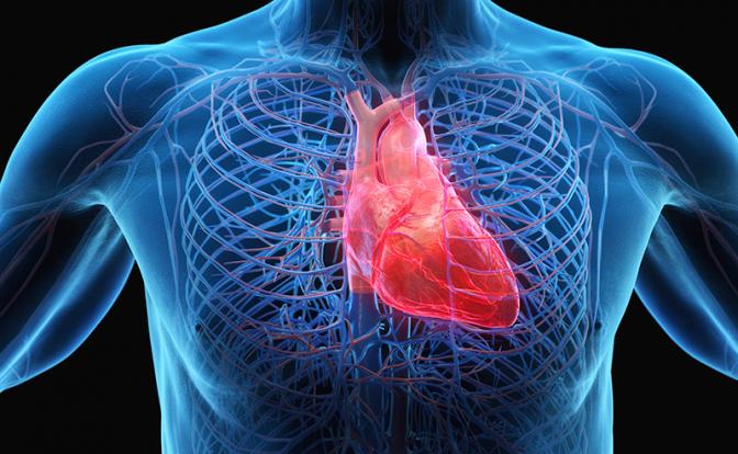 Назван уникальный продукт для здоровья крови