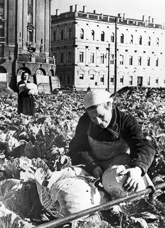 Проекты переименования городов россии. Улицы получившие названия после революции 1917. Название улиц после революции 1917 года. Название улиц после революции. Название улиц до революции и после революции.