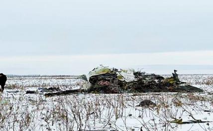 На фото: место крушения военно-транспортного самолета Ил-76 ВКС России