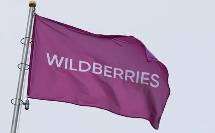 Wildberries откроет новый распределительный центр в Ленобласти за 9 млрд рублей