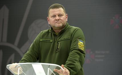 На фото: главнокомандующий Вооруженными силами Украины генерал Валерий Залужный
