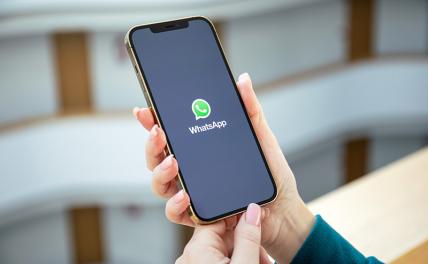 Россиян обманывают с помощью новой функции WhatsApp