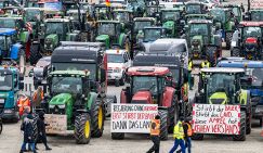 Дело не в фермерах: Политолог Межевич объяснил бунт аграриев Евросоюза