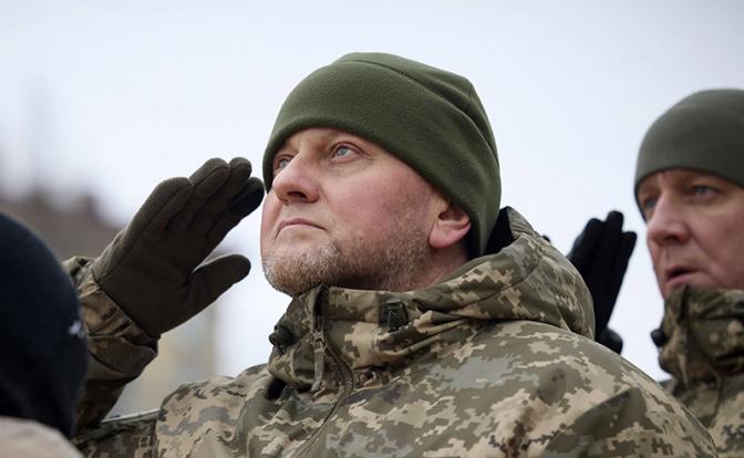 На фото: Валерий Залужный