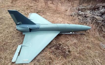 На фото: британский реактивный беспилотник-камикадзе Banshee Jet-80