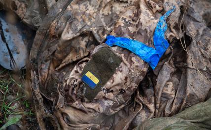 Шеремет: реальные потери ВСУ повергнут украинцев в шок