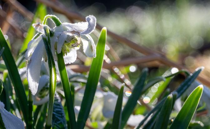 Прогноз погоды: когда в Москве наступит весна