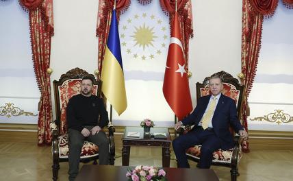 На фото: президент Турции Реджеп Тайип Эрдоган (справа), президент Украины Владимир Зеленский (слева) во время встречи