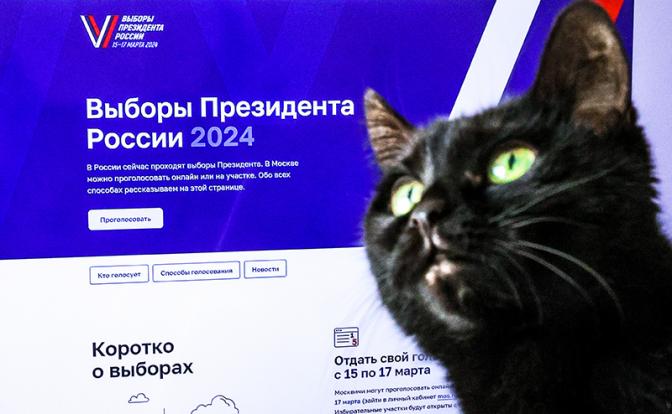 Избирательную систему в России атаковали 12 млн раз с начала президентской кампании
