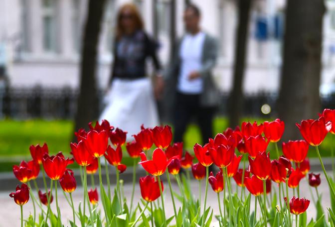Назван простой способ отличить аллергию от ОРВИ