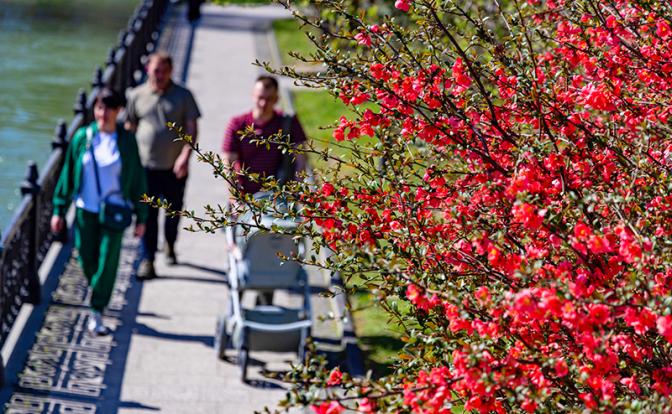 Майская погода в России наступит в ближайшие дни