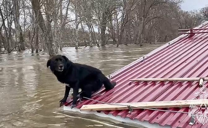 В Орске и Оренбурге прошел пик паводка