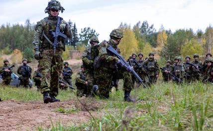 Рота эстонцев может отправиться в незалежную, только боится, что там стреляют