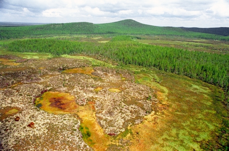 На фото: место падения Тунгусского метеорита