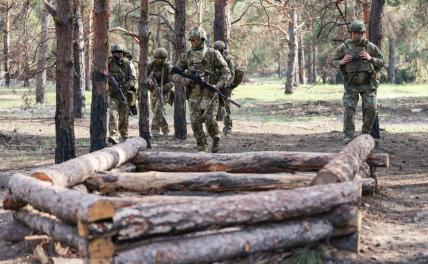 Выплаты за участие в СВО защитят от списания в делах о банкротстве