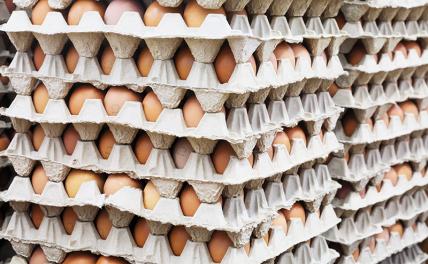 Жители Екатеринбурга начали массово облизывать яйца в надежде получить миллион