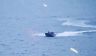 Navy Recognition: Британское ноу-хау – морские дроны ВСУ будут охотиться за нашими самолетами
