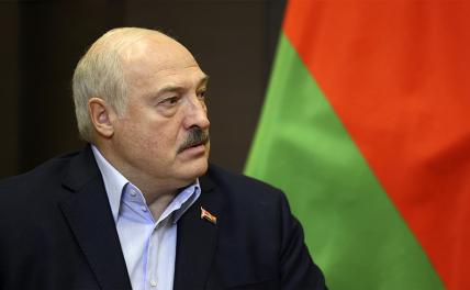 На фото: президент Белоруссии Александр Лукашенко