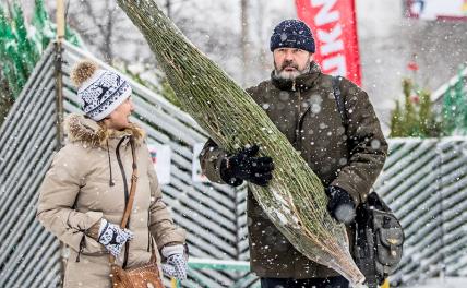 «Запрос большой»: правительство рассмотрит возможность сделать 31 декабря выходным днем