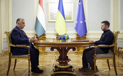 На фото: президент Украины Владимир Зеленский (справа) и премьер-министр Венгрии Виктор Орбан (слева) во время встречи.