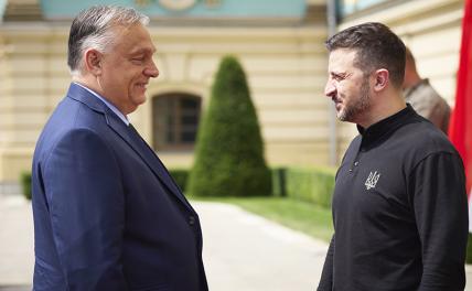 На фото: президент Украины Владимир Зеленский (справа) и премьер-министр Венгрии Виктор Орбан (слева) во время встречи.
