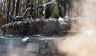 Харьковский фронт: Сырский получил неожиданный удар с юга, Киев в ярости – «Богомолов, Сидоров, как вам спится?»