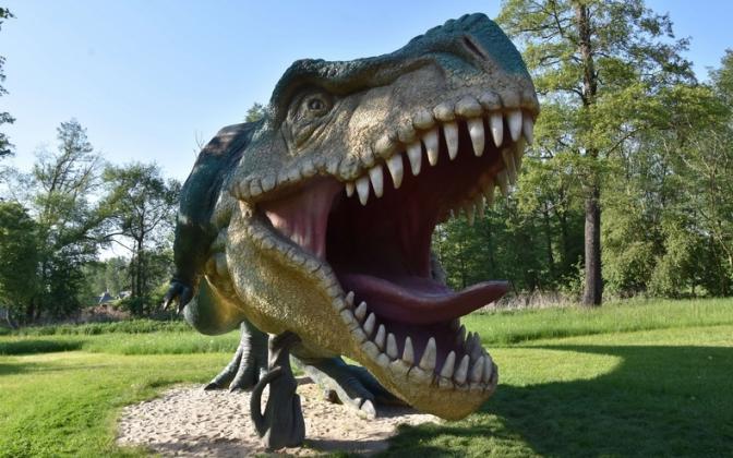 Ученые открыли новый вид плотоядных динозавров, родственных тираннозавру