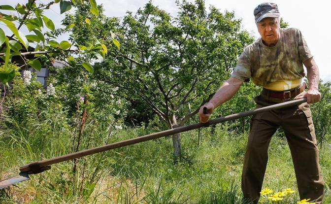 В каких случаях по новым правилам вашу дачу могут забрать "правильные люди"