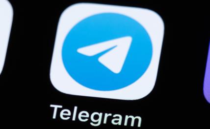 В Индонезии объяснили, почему хотят заблокировать Telegram