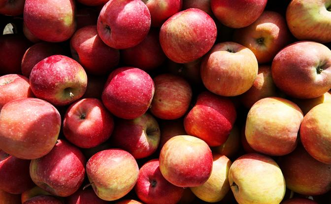 Эксперт сказала, как в Россию попадают польские яблоки, и почему они такие дорогие