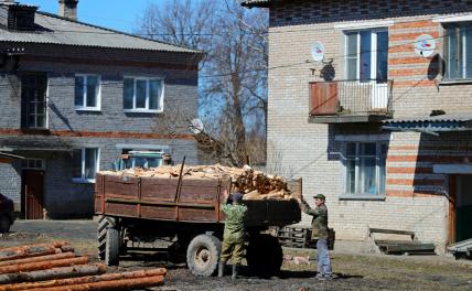 На фото: выгрузка дров на одной из улиц Каргополя, Россия.