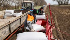 Сельхоз-прогноз: Завтрашние русские деликатесы – пищевые добавки и желудочные таблетки