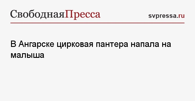 Цирковая пантера напала на ребенка. Цирковая пантера напала на ребенка. Цирковая пантера напала на ребенка. Цирковая пантера напала на ребенка. Цирковая пантера напала на ребенка.