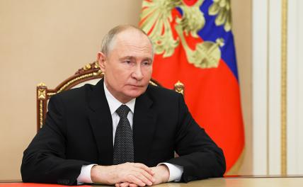 На фото: президент РФ Владимир Путин