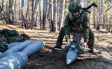 Курская дуга, 19 ноября: Под Ольговкой для ВСУ повторился Иловайский разгром – из леса не вышел никто