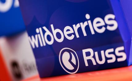 Wildberries запускает сервис потребкредитования через мобильное приложение